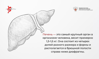 Новости-на-сайт-9.jpg