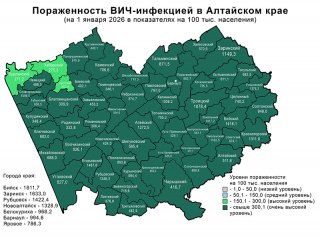 Карта на 01.01.2026 в показателях (сайт).jpg