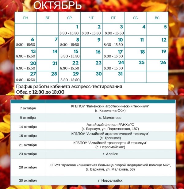 График экспресс-тестирования на ВИЧ в октябре 