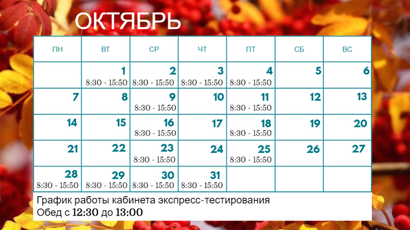 График экспресс-тестирования на ВИЧ на пятую неделю октября